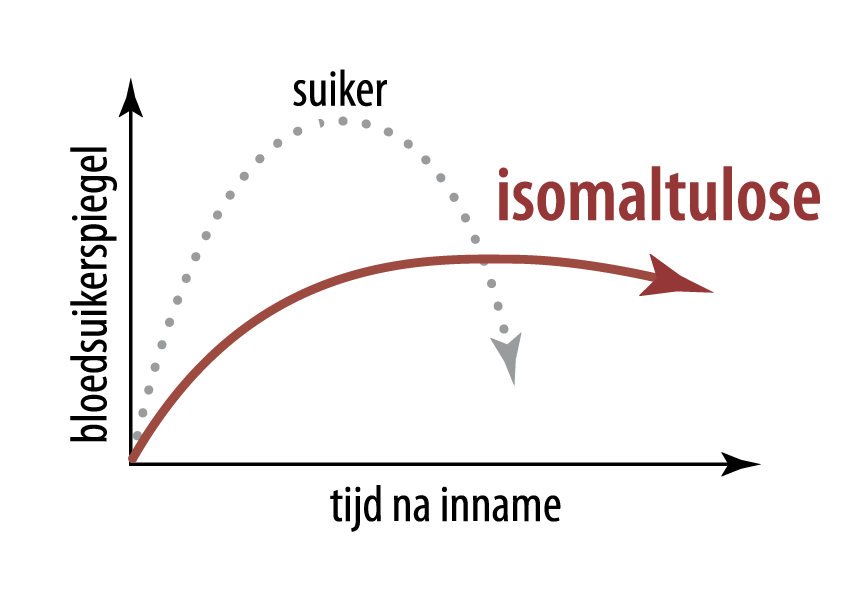 Een lagere en tragere stijging van de bloedsuikerspiegel bij inname van isomaltulose in vergelijking met suiker