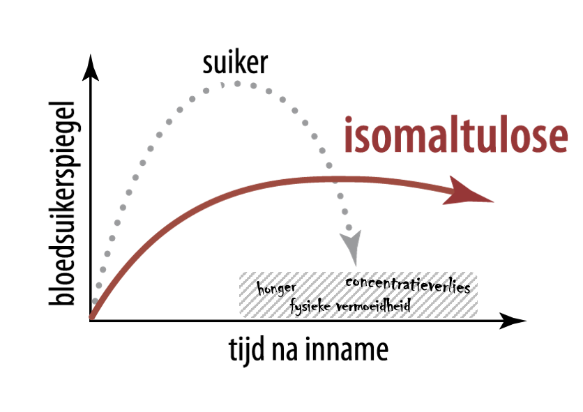 isomaltulose, bloedsuiker, vermoeidheid, concentratieverlies, honger