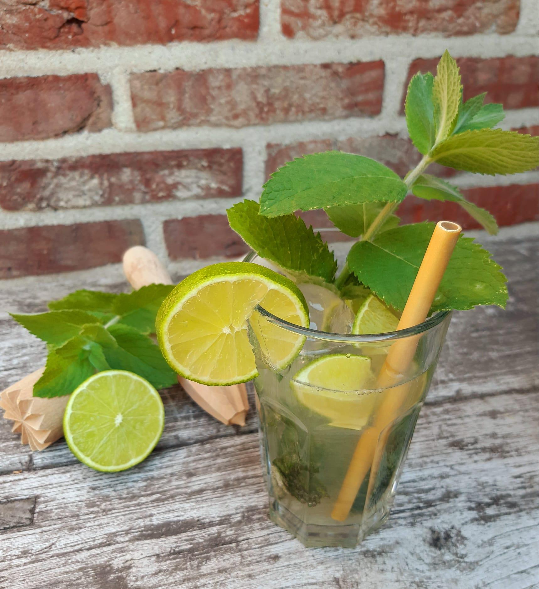 Nutr!Break® virgin mojito energy Een heerlijke verfrissende mocktail met een gouden cominatie van munt, limoen en Nutr!Break® Isomaltulose.