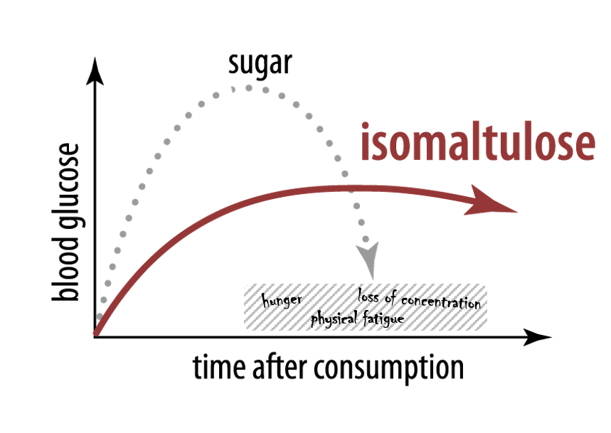 isomaltulose, blood suger, fatigue, hunger, concentration